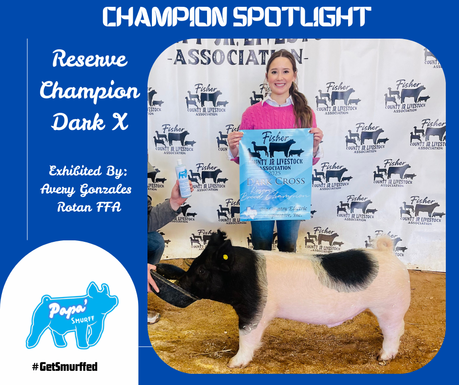 1 Gallon Papa' Smurff